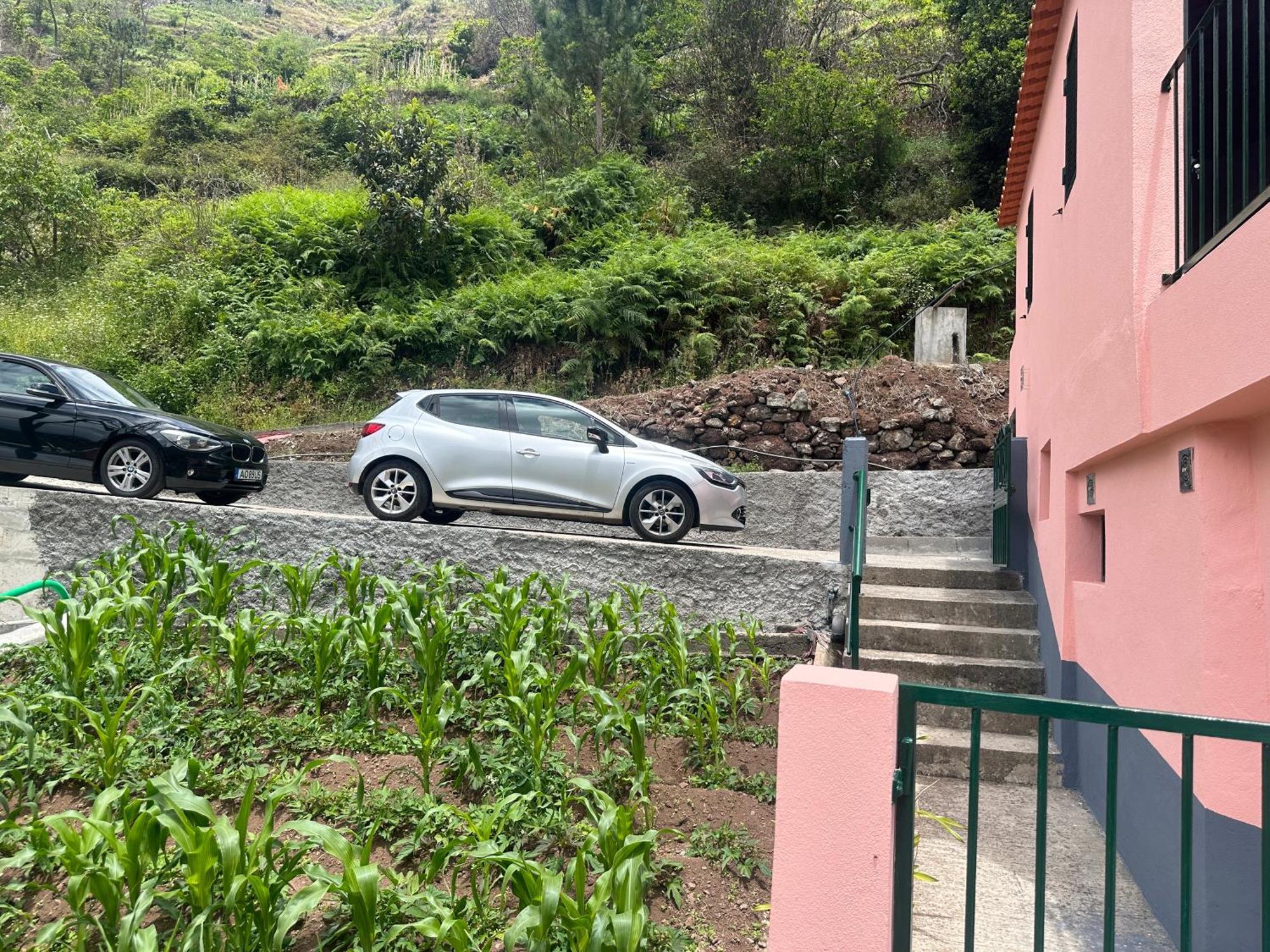 Casa Rosa Villa Ribeira Brava Exterior photo