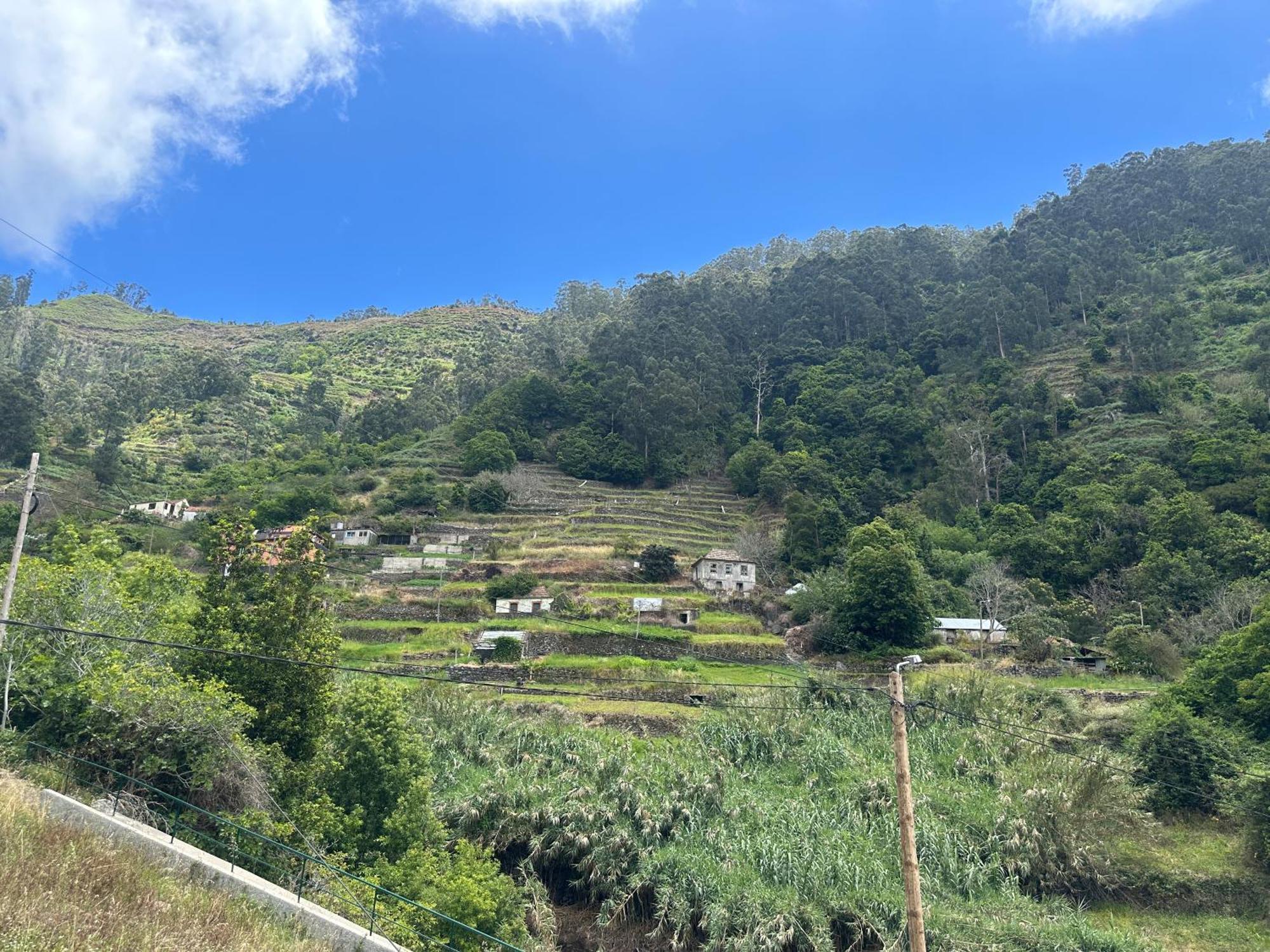 Casa Rosa Villa Ribeira Brava Exterior photo